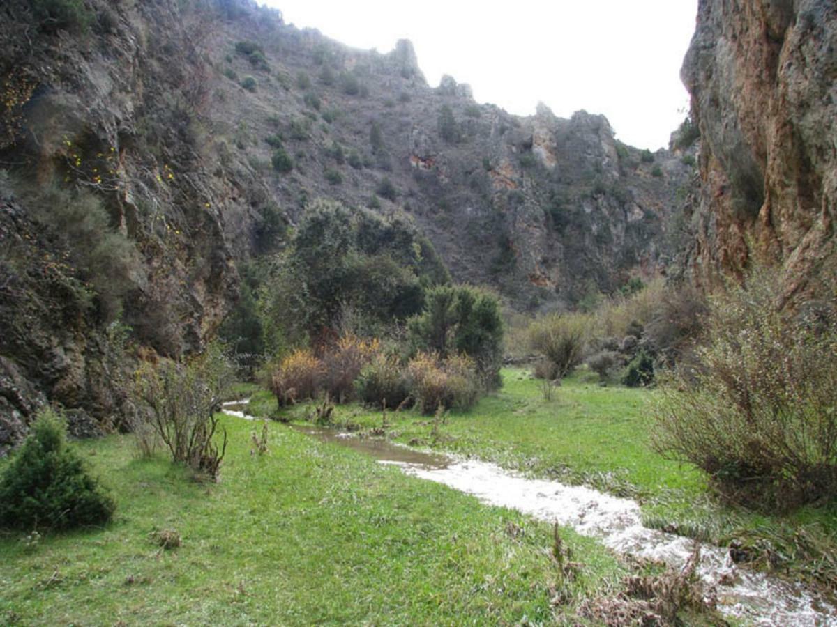 Casa La Herradura Royuela Buitenkant foto